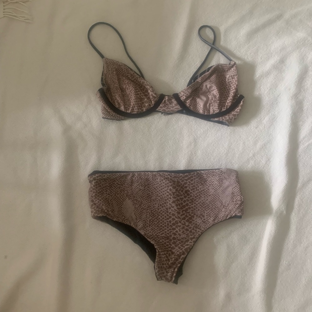 Acacia bikini